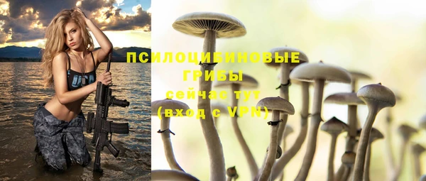 ALPHA PVP Горнозаводск