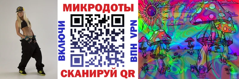 Купить  Тайга  Галлюциногенные грибы Psilocybe 