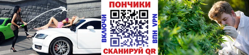 Купить  Тайга  Канабис AK-47 